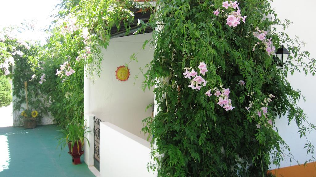 Palm Villa Estudios Lagos Exterior foto